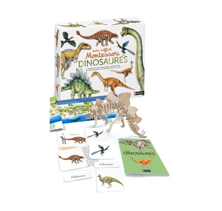 Mon coffret montessori des dinosaures