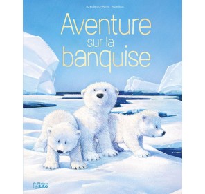 AVENTURE SUR LA BANQUISE